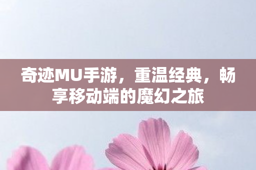 奇迹MU手游,重温经典,畅享移动端的魔幻之旅 奇迹MU手游,重温经典,畅享移动端的魔幻之旅