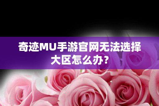 奇迹MU手游官网无法选择大区怎么办? 奇迹MU手游官网无法选择大区怎么办?