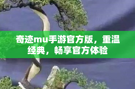 奇迹mu手游官方版,重温经典,畅享官方体验 奇迹mu手游官方版,重温经典,畅享官方体验