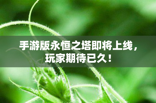 手游版永恒之塔即将上线,玩家期待已久! 手游版永恒之塔即将上线,玩家期待已久!
