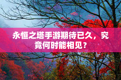 永恒之塔手游期待已久，究竟何时能相见？