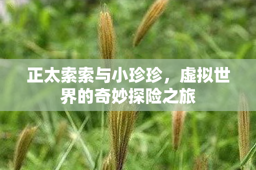 虚拟世界的奇妙探险之旅图片