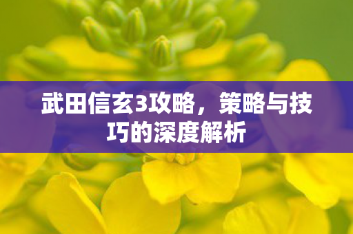 策略与技巧的深度解析图片