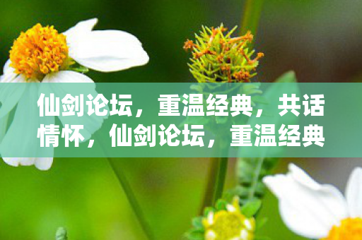 仙剑论坛,重温经典,共话情怀,仙剑论坛,重温经典,共话情怀 仙剑论坛,重温经典,共话情怀,仙剑论坛,重温经典,共话情怀