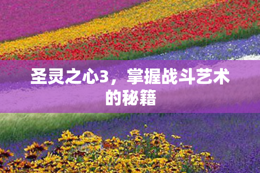 掌握战斗艺术的秘籍图片