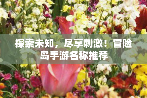 冒险岛手游名称推荐图片