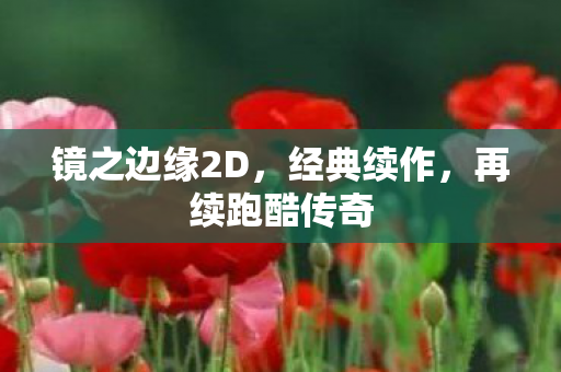镜之边缘2D图片