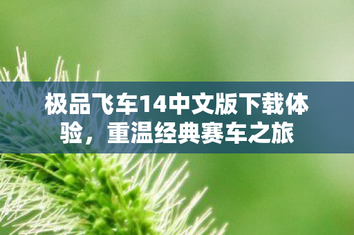 极品飞车14中文版下载体验图片