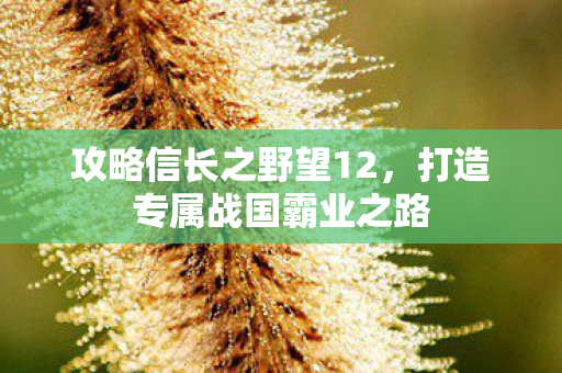 打造专属战国霸业之路图片