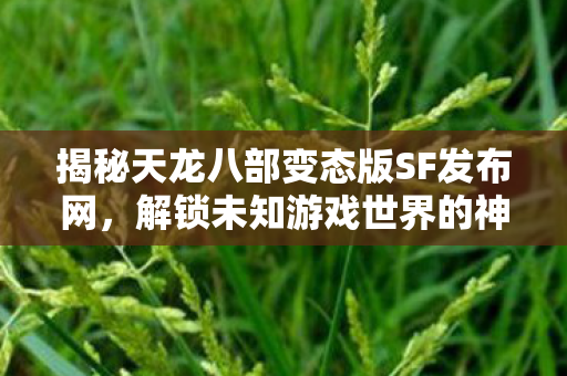 揭秘天龙八部变态版SF发布网图片