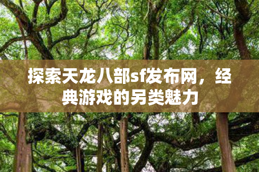 探索天龙八部sf发布网图片
