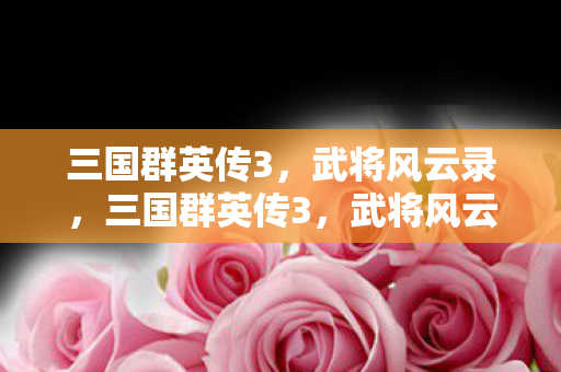 三国群英传3,武将风云录,三国群英传3,武将风云录 三国群英传3,武将风云录,三国群英传3,武将风云录