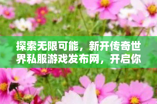 新开传奇世界私服游戏发布网图片