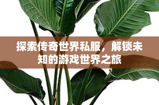 解锁未知的游戏世界之旅图片
