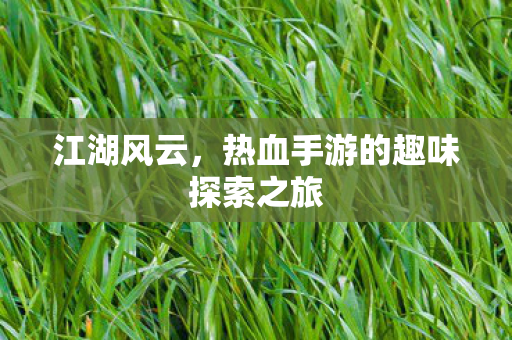 热血手游的趣味探索之旅图片