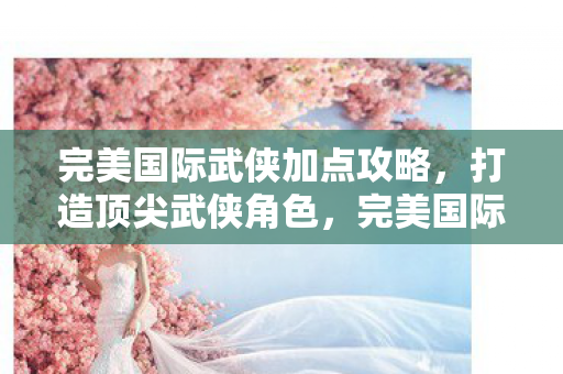 完美国际武侠加点攻略,打造顶尖武侠角色,完美国际武侠加点攻略,打造顶尖武侠角色 完美国际武侠加点攻略,打造顶尖武侠角色,完美国际武侠加点攻略,打造顶尖武侠角色