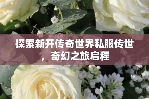 探索新开传奇世界私服传世图片