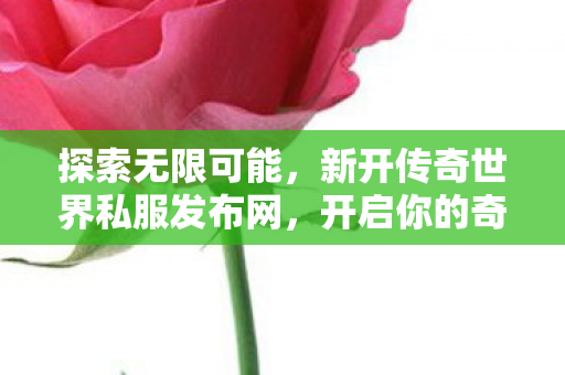 新开传奇世界私服发布网图片