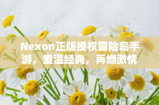 Nexon正版授权冒险岛手游图片