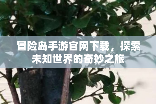 探索未知世界的奇妙之旅图片