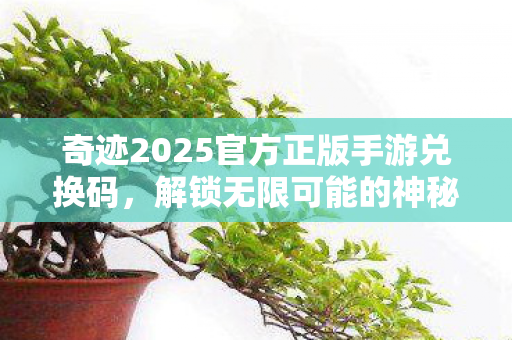 奇迹2025官方正版手游兑换码,解锁无限可能的神秘钥匙 奇迹2025官方正版手游兑换码,解锁无限可能的神秘钥匙
