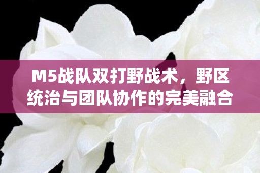 野区统治与团队协作的完美融合图片