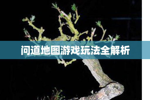 问道地图游戏玩法全解析图片