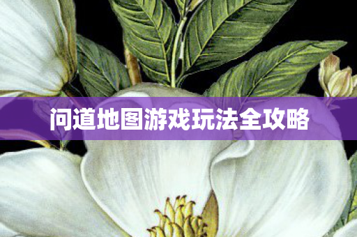 问道地图游戏玩法全攻略图片