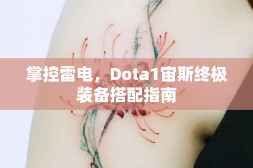 Dota1宙斯终极装备搭配指南图片