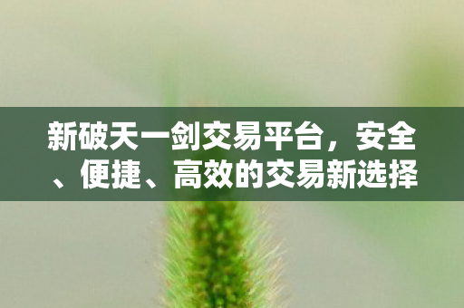 新破天一剑交易平台图片