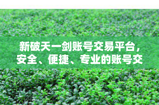 新破天一剑账号交易平台图片