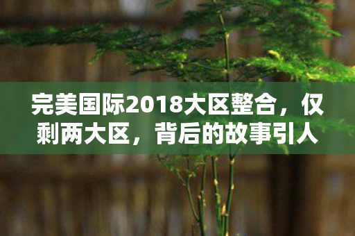 完美国际2018大区整合图片