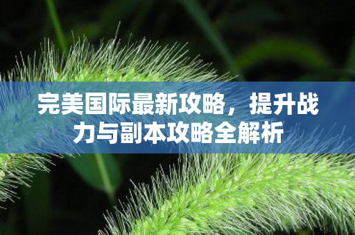 提升战力与副本攻略全解析图片