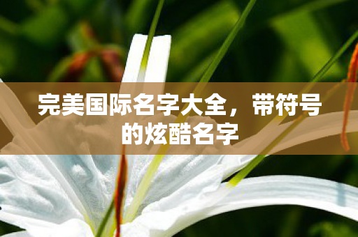 完美国际名字大全图片