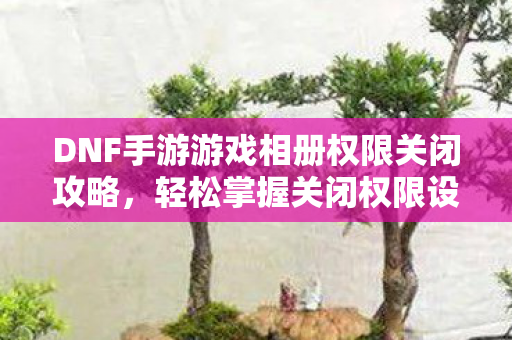 DNF手游游戏相册权限关闭攻略图片