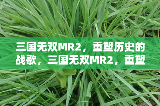 三国无双MR2,重塑历史的战歌,三国无双MR2,重塑历史的战歌 三国无双MR2,重塑历史的战歌,三国无双MR2,重塑历史的战歌