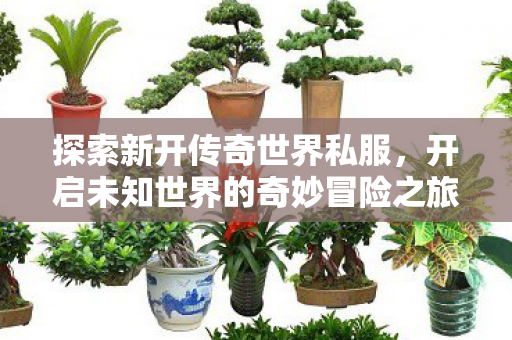 开启未知世界的奇妙冒险之旅图片