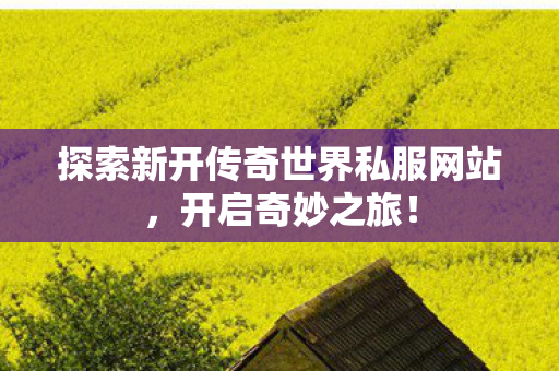 探索新开传奇世界私服网站图片