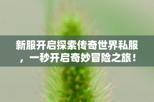 新服开启探索传奇世界私服图片