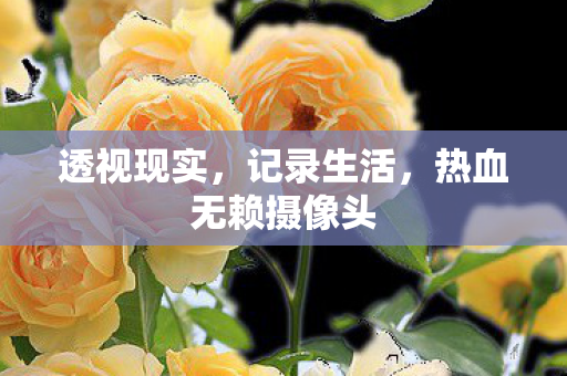 热血无赖摄像头图片