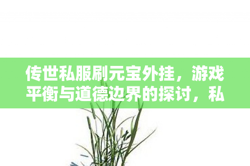 传世私服刷元宝外挂,游戏平衡与道德边界的探讨,私服外挂破坏游戏平衡,道德底线不容挑战 传世私服刷元宝外挂,游戏平衡与道德边界的探讨,私服外挂破坏游戏平衡,道德底线不容挑战
