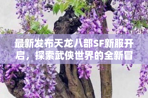 最新发布天龙八部SF新服开启图片