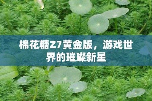 游戏世界的璀璨新星图片