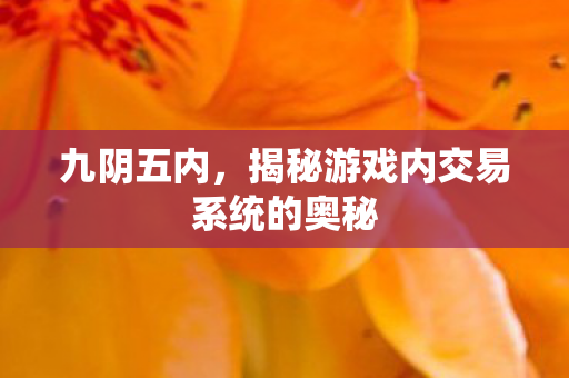揭秘游戏内交易系统的奥秘图片