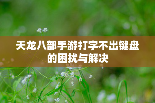 天龙八部手游打字不出键盘的困扰与解决图片