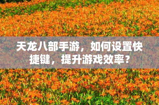 如何设置快捷键图片