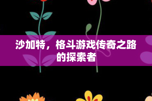 沙加特，格斗游戏传奇之路的探索者
