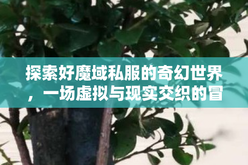 探索好魔域私服的奇幻世界图片