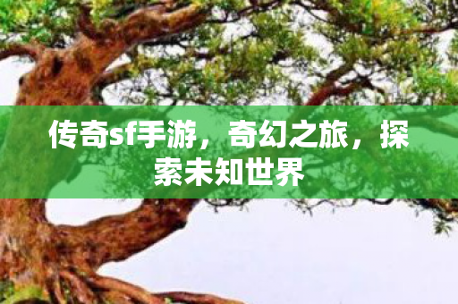 传奇sf手游图片