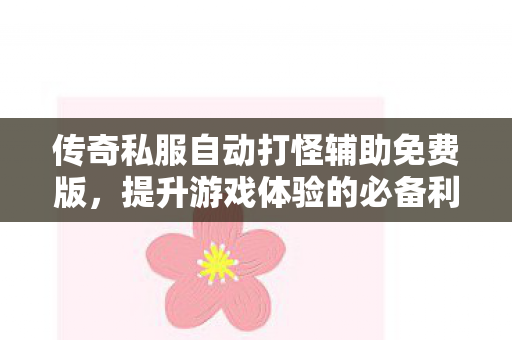 传奇私服自动打怪辅助免费版图片
